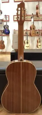 La Patrie Guitars - LP45457 2